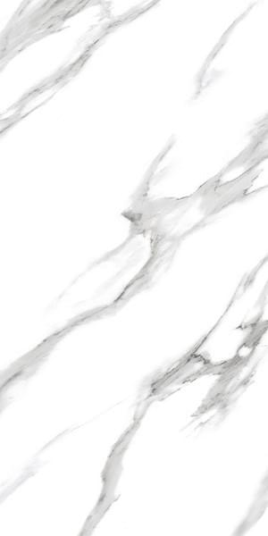 Ennface Marble Arabescato White 60x120