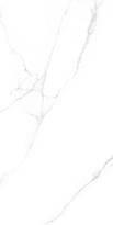Плитка Ennface Marble Arizona Carving 60x120 см, поверхность микс, рельефная
