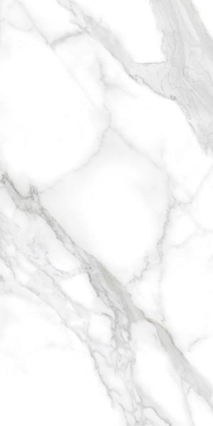 Ennface Marble Carrara Classic 60x120