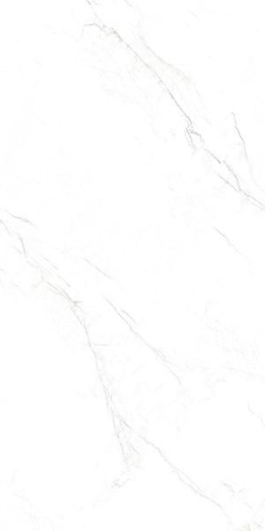 Ennface Marble Mystic White 60x120