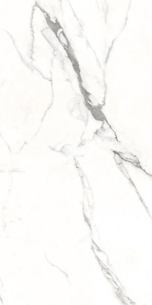 Ennface Marble Polaris 60x120