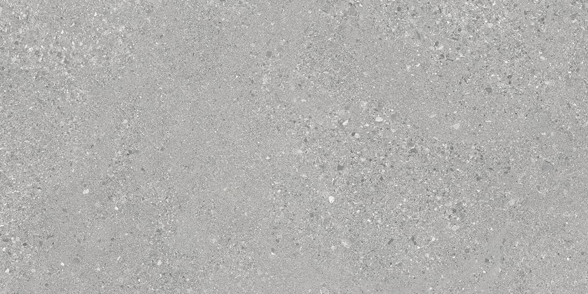 Ergon Grain Stone Grey Rough Grain Lappato 60x120