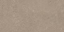 Плитка Ergon Grain Stone Taupe Rough Grain Tecnica Antislip R 11 60x120 см, поверхность матовая, рельефная