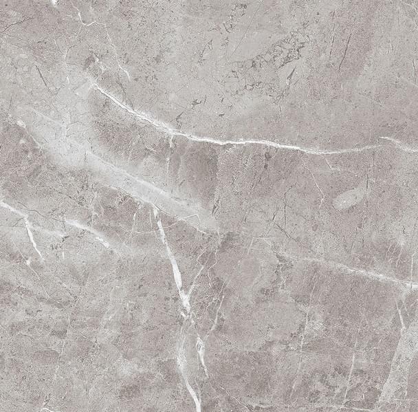 Eternal Porcelain Pallazo Gris 60x60