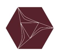 Плитка Etruria Concetto Spaziale Esagono Burgundy 16x18.5 см, поверхность глянец