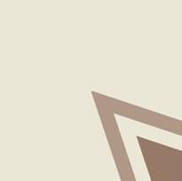 Плитка Etruria Vintage Pattern 10 Bordura Angolo Bicolore Bianco Decoro Tortora Tabacco 20x20 см, поверхность матовая