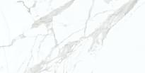 Плитка Eurotile Gres Marble Sig Statuario Glossy 60x120 см, поверхность полированная