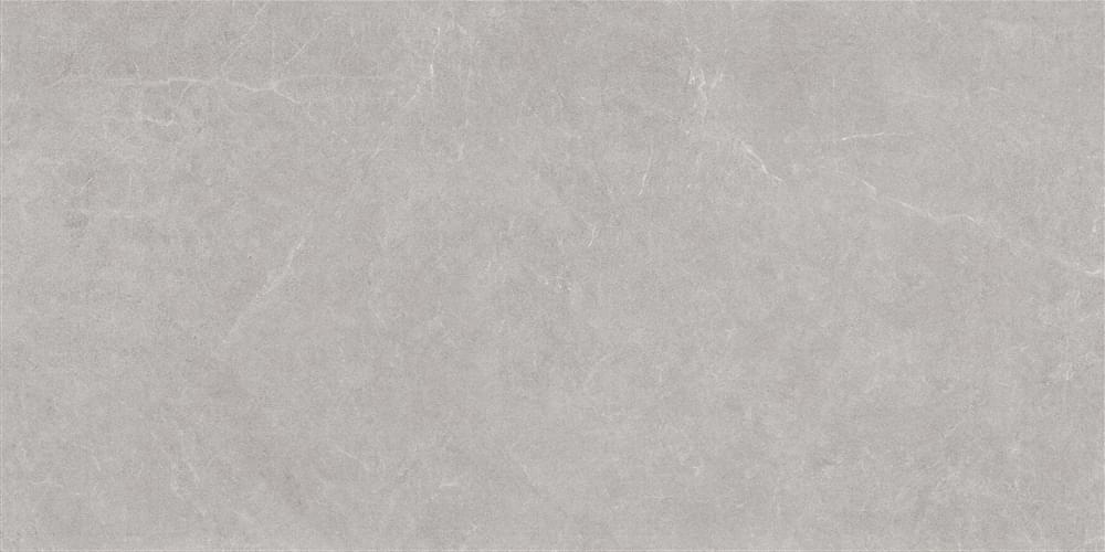 Плитка Eurotile Ройс Сильвер 61x121 см, поверхность матовая
