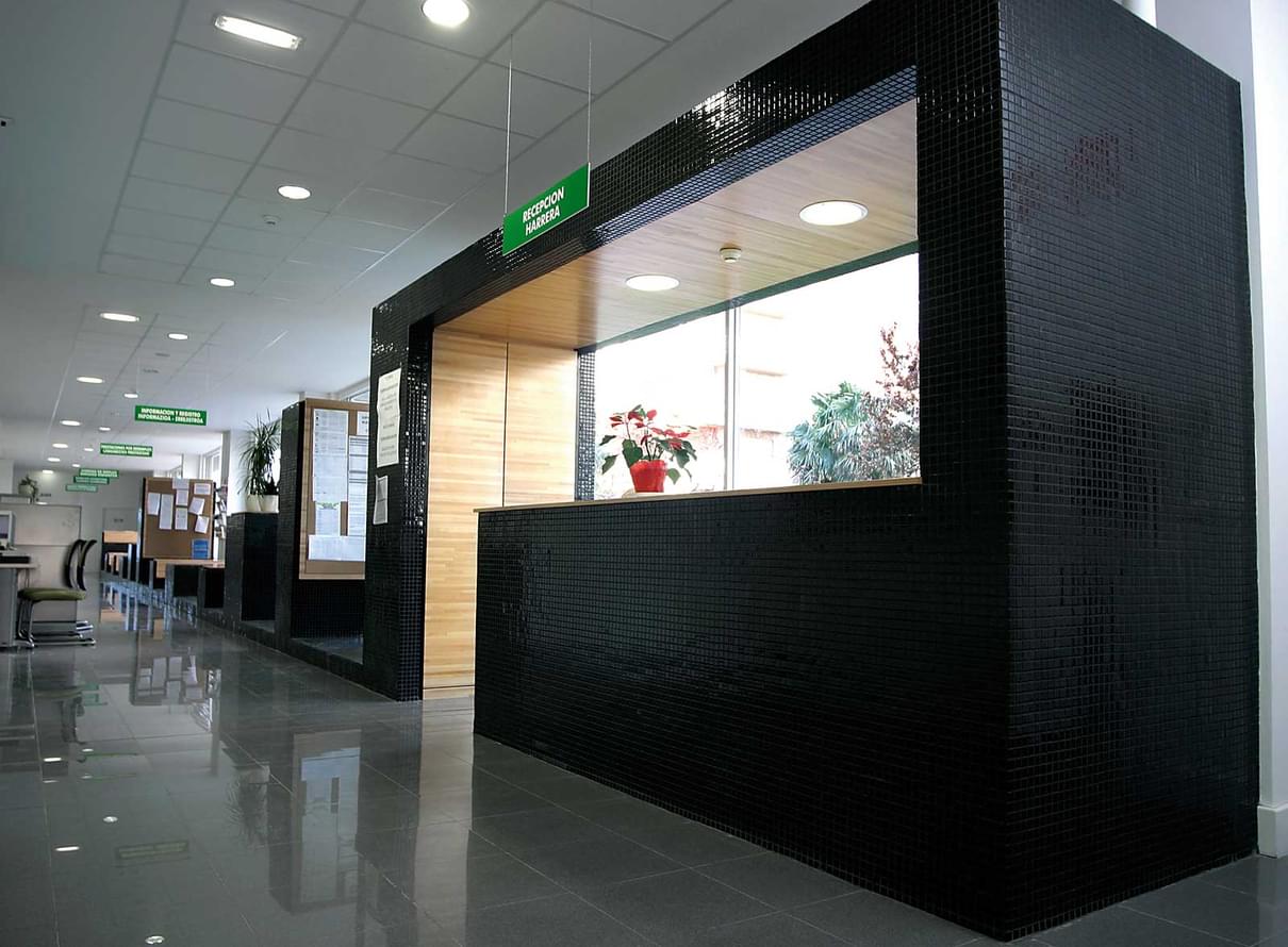 стекло фабрики Ezarri коллекция Lisa