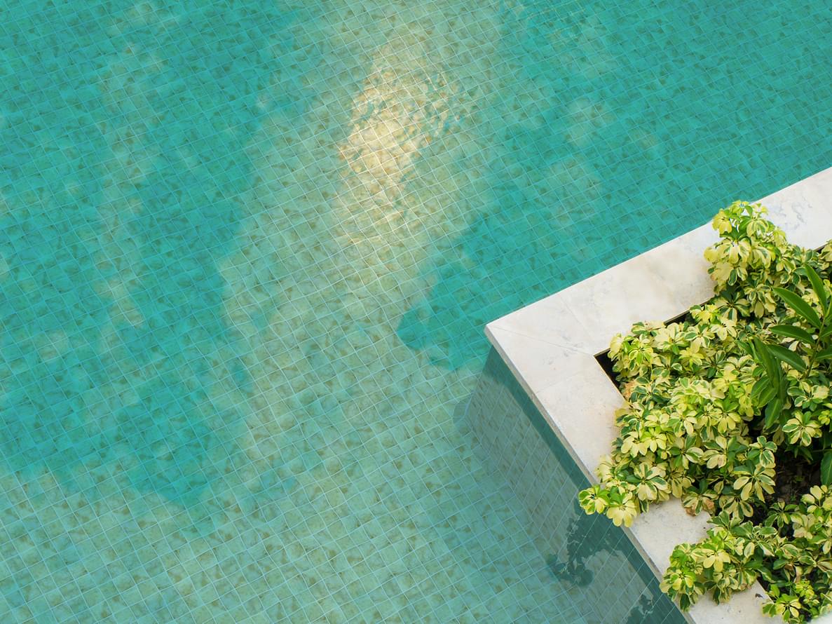 стекло фабрики Ezarri коллекция Safe Steps