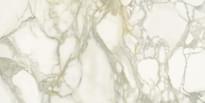 Плитка FMG Maxfine Select Calacatta Oro Naturale 60x120 см, поверхность матовая