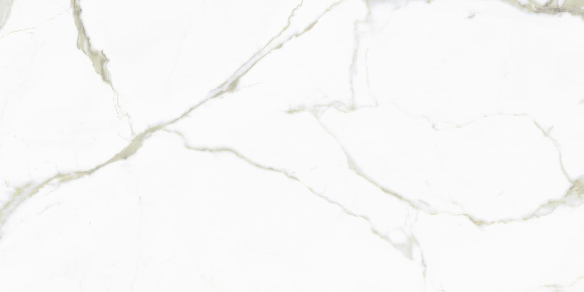 Плитка FMG Maxfine Select White Calacatta Naturale 60x120 см, поверхность матовая