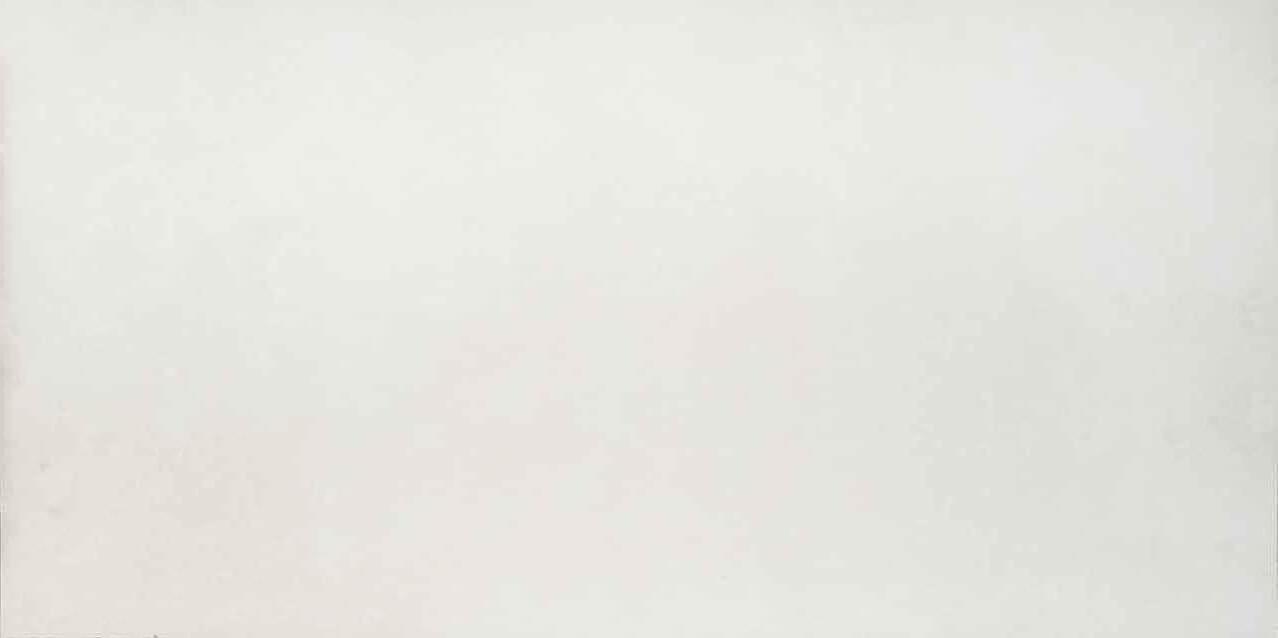 Плитка Fakhar Ata Bone Sardeni 59.6x119.6 см, поверхность полуматовая