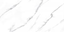Плитка Fanal Carrara Lapp 60x120 см, поверхность полуполированная