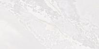 Плитка Fanal Planet White Metal Shine 60x120 см, поверхность полированная