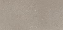 Кварцвинил FastFloor Stone Саяны 30.5x61 см, поверхность лак