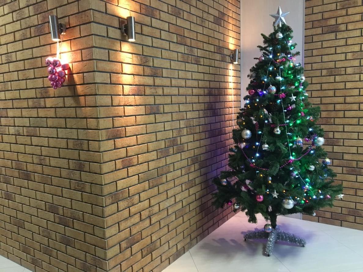 клинкер фабрики Feldhaus коллекция Classic