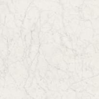 Плитка Fioranese Marmorea Bianco Gioia Levigato Rettificato 15x15 см, поверхность полированная