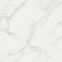 Плитка Fioranese Marmorea Bianco Statuario Matt Rettificato 60x60 см, поверхность матовая