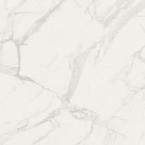 Плитка Fioranese Marmorea Bianco Statuario Matt Rettificato 74x74 см, поверхность матовая