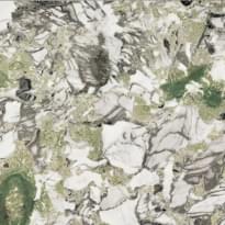 Плитка Fioranese Marmorea Screciato Vivace Lev 74x74 см, поверхность полированная