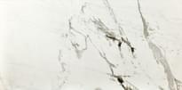 Плитка Fioranese Marmorea2 Breccia White 30x60 см, поверхность матовая