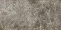Плитка Fioranese Marmorea2 Jolie Grey Levigato 30x60 см, поверхность полированная