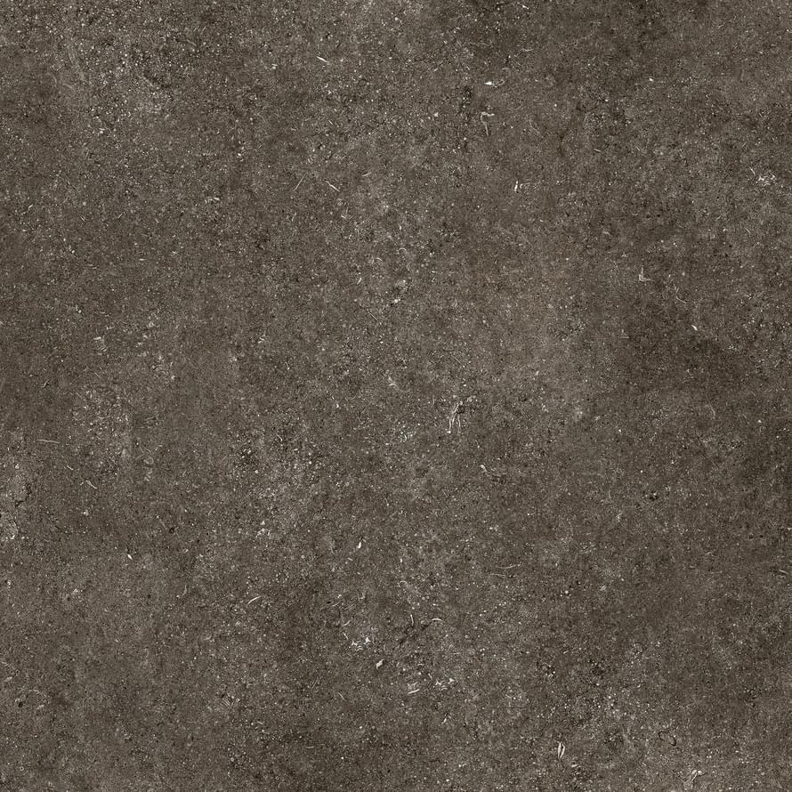 Плитка Florim Sensi By Thun Brown Fossil Matte 9 mm 40x80 см, поверхность матовая