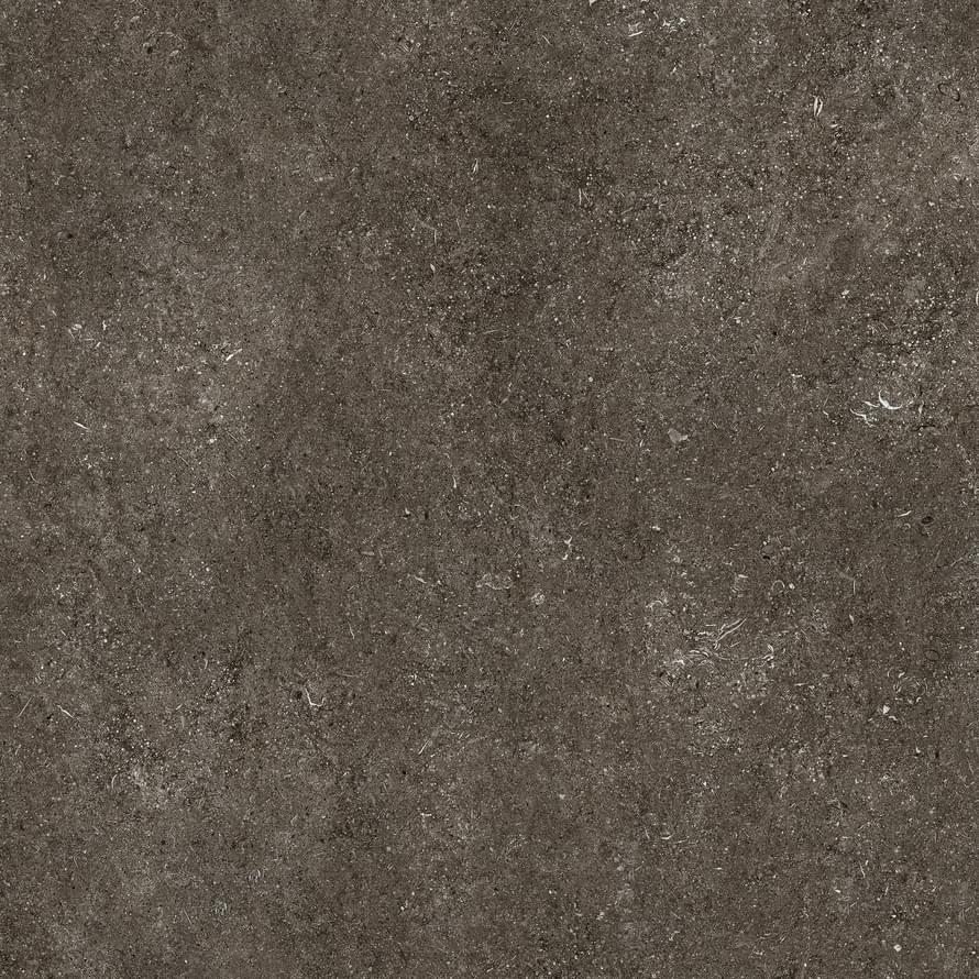 Плитка Florim Sensi By Thun Brown Fossil Nat 60x120 см, поверхность матовая