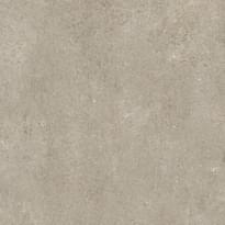 Плитка Florim Sensi By Thun Ivory Fossil 80x80 см, поверхность матовая