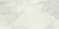 Плитка Florim Stones And More 2.0 Calacatta 60x120 см, поверхность матовая