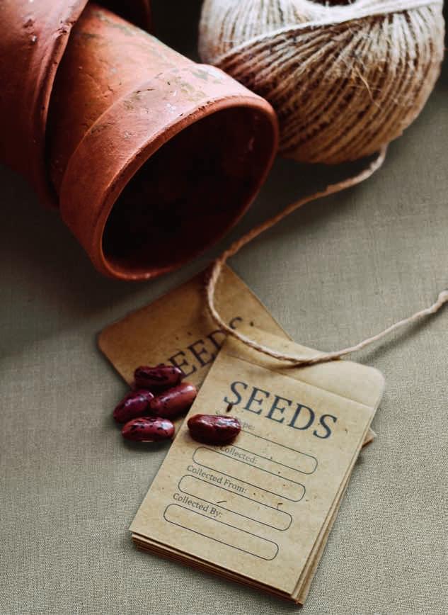 керамогранит фабрики Fondovalle коллекция Dream