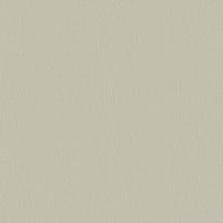 Galerie Boutique F-EI8005 10.05м x 53см поверхность матовая