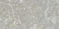 Плитка Gani Illinois Grey  60x120 см, поверхность полированная