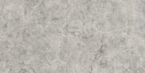 Плитка Gani Madrid Silver  60x120 см, поверхность полированная