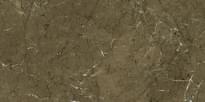 Плитка Gani Olive Brown  60x120 см, поверхность полированная