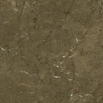 Плитка Gani Olive Brown  60x60 см, поверхность полированная