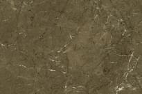 Плитка Gani Olive Brown  60x90 см, поверхность полированная