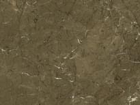 Плитка Gani Olive Brown  90x120 см, поверхность полированная