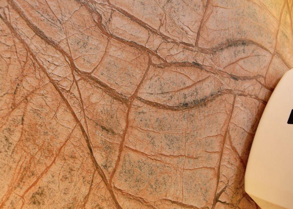 керамогранит фабрики Gani коллекция Rainforest Brown