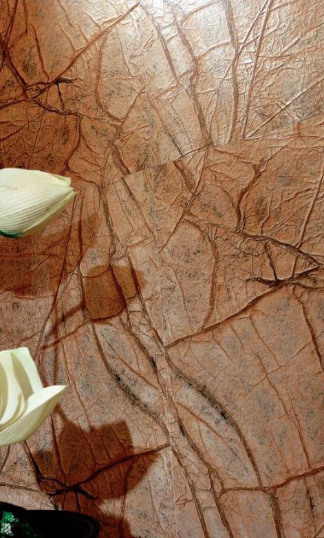 керамогранит фабрики Gani коллекция Rainforest Brown