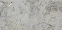 Плитка Gani Silver Grey  60x120 см, поверхность полированная