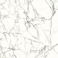 Плитка Gani White Carrara  60x60 см, поверхность полированная