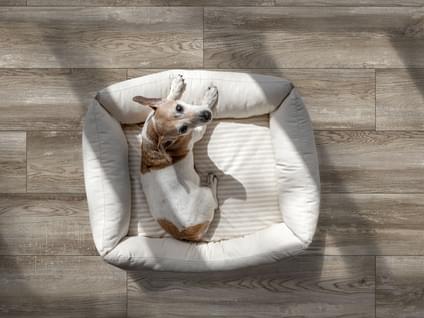 фабрика Global-Tile коллекция Bremen