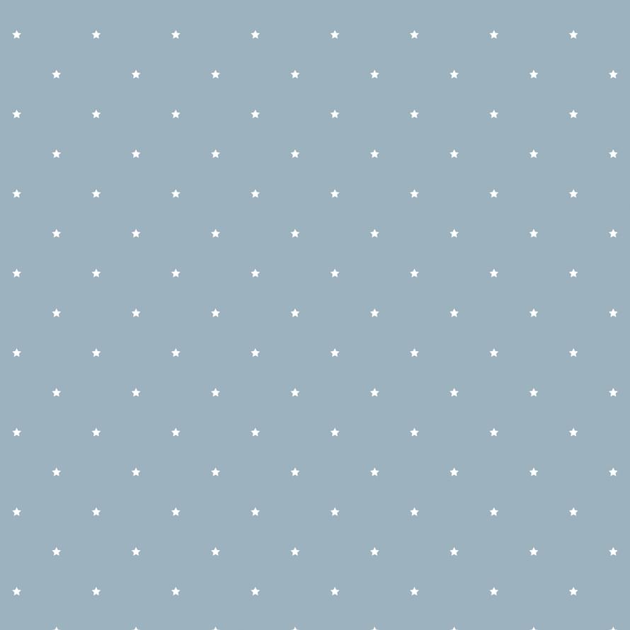 Grandeco Jack And Rose 2024 JR 1104 10.05м x 53см поверхность матовая