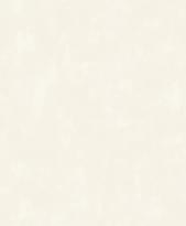 Grandeco Universe 5 VR 1111 10.05м x 106см поверхность матовая