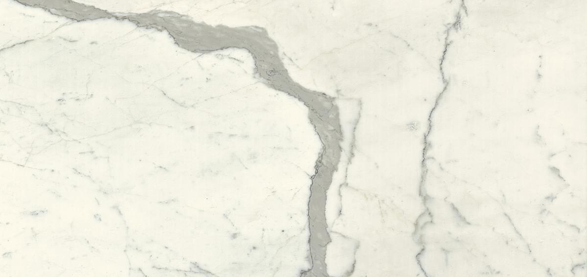 Graniti Fiandre Marble Active Calacatta Statuario 154x328