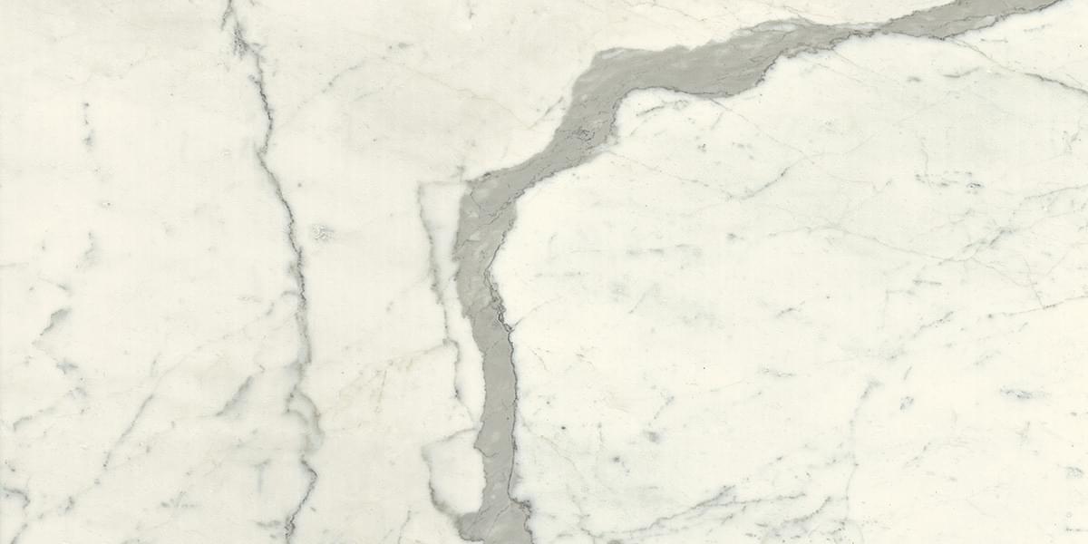 Graniti Fiandre Marble Active Calacatta Statuario 60x120