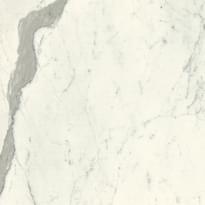 Плитка Graniti Fiandre Marble Active Calacatta Statuario 60x60 см, поверхность матовая
