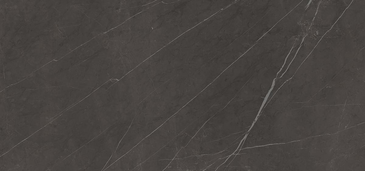 Graniti Fiandre Marble Active Pietra Grey 154x328